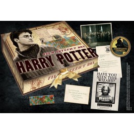Harry Potter Replique balai Collector de l Eclair de feu - Dream of Figure