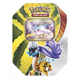 Pokémon JCC Set de 4 Tin box Destinée Paradoxe Français Feu-perçant-ex