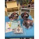 nintendo nintendo 64 japanese : DONKEY KONG 64 + EXPANSION PAK